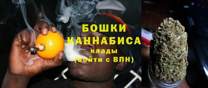 Бошки Шишки OG Kush  гидра зеркало  Вязьма 